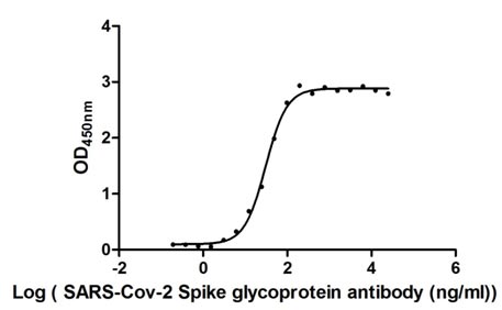 Activity Measured by its binding ability in a functional ELISA. Immobilized SARS-CoV-2-S1-RBD at 2 μg/ml can bind SARS-CoV-2-S Antibody , the EC 50 of SARS-CoV-2-S1-RBD protein is 27.96 - 33.35 ng/ml. Biological Activity AssayRecombinant Sars-Cov-2 Spike Glycoprotein (S) Protein (His&Myc), Active