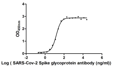 Activity Measured by its binding ability in a functional ELISA. Immobilized SARS-CoV-2-S1-RBD at 2 μg/ml can bind SARS-CoV-2-S Antibody , the EC 50 of SARS-CoV-2-S1-RBD protein is 13.96 -16.62 ng/ml. Biological Activity AssayRecombinant Sars-Cov-2 Spike Glycoprotein (S) Protein (His&Myc), Active