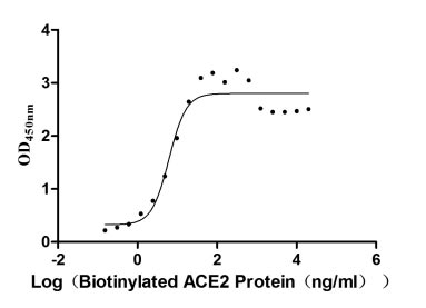 Activity Measured by its binding ability in a functional ELISA. Immobilized SARS-CoV-2-S1-RBD at 2 μg/ml can bind Biotinylated human ACE2 , the EC 50 is 4.599-8.322 ng/ml Biological Activity AssayRecombinant Sars-Cov-2 Spike Glycoprotein (S) Protein (His&Myc), Active