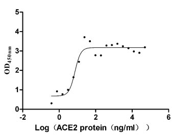 Activity Measured by its binding ability in a functional ELISA. Immobilized SARS-CoV-2-S1-RBD at 5 μg/ml can bind Cynomolgus-ACE2, the EC 50 is 5.638-9.496 ng/ml. Biological Activity AssayRecombinant Cynomolgus Monkey Angiotensin-Converting Enzyme (ACE2) Protein (hFc), Active