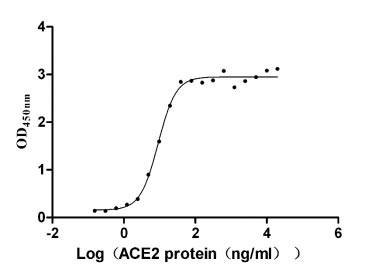 Activity Measured by its binding ability in a functional ELISA. Immobilized SARS-CoV S-RBD at 2 μg/ml can bind Paguma larvata ACE2 , the EC 50 is 5.056-7.559 ng/ml. Biological Activity AssayRecombinant Human Sars Coronavirus Spike Glycoprotein (S) Protein (His&Myc), Active