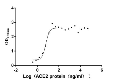 Activity Measured by its binding ability in a functional ELISA. Immobilized SARS-CoV S-RBD at 5 μg/ml can bind human ACE2 , the EC 50 is 7.941-10.49 ng/ml. Biological Activity AssayRecombinant Human Sars Coronavirus Spike Glycoprotein (S) Protein (His&Myc), Active