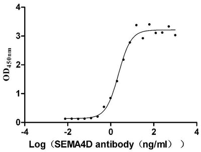 Activity Measured by its binding ability in a functional ELISA. Immobilized Rhesus macaque SEMA4D at 2 μg/mL can bind Anti-SEMA4D recombinant antibody , the EC 50 is 1.943-2.724 ng/mL. Biological Activity AssayRecombinant Rhesus Macaque Semaphorin-4D Isoform 1 (SEMA4D) Protein (His), Active