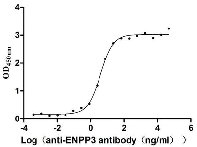 Activity Measured by its binding ability in a functional ELISA. Immobilized Macaca fascicularis ENPP3 at 2 μg/ml can bind Anti-ENPP3 recombinant antibody , the EC 50 is 3.313-4.724 ng/mL. Biological Activity AssayRecombinant Cynomolgus Monkey Ectonucleotide Pyrophosphatase/Phosphodiesterase 3 (ENPP3) Protein (His), Active
