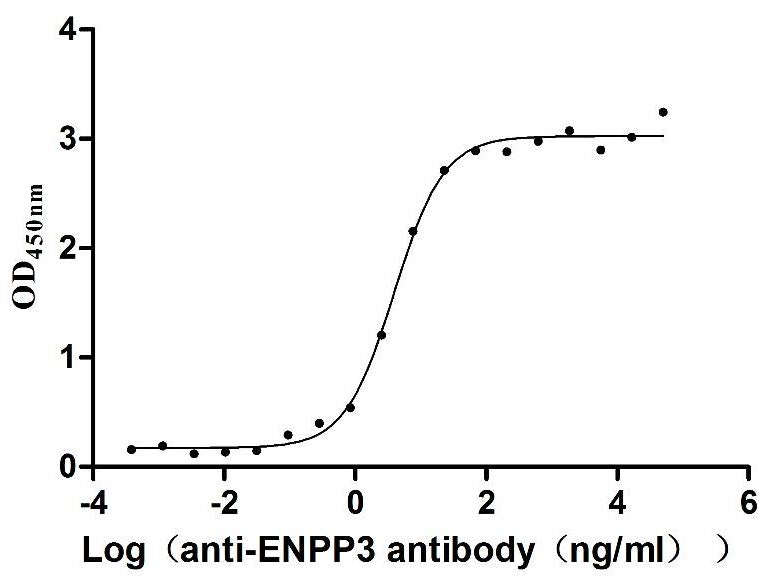 Activity Measured by its binding ability in a functional ELISA. Immobilized Macaca fascicularis ENPP3 at 2 μg/ml can bind Anti-ENPP3 recombinant antibody , the EC 50 is 3.313-4.724 ng/mL. Biological Activity AssayRecombinant Cynomolgus Monkey Ectonucleotide Pyrophosphatase/Phosphodiesterase 3 (ENPP3) Protein (His), Active