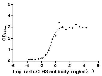 Activity Measured by its binding ability in a functional ELISA. Immobilized Macaca fascicularis CD93 at 2 μg/ml can bind Anti-CD93 recombinant antibody , the EC 50 is 0.1669-0.3513 ng/mL.Recombinant Cynomolgus Monkey Cd93 Molecule (CD93) Protein (His), Active
