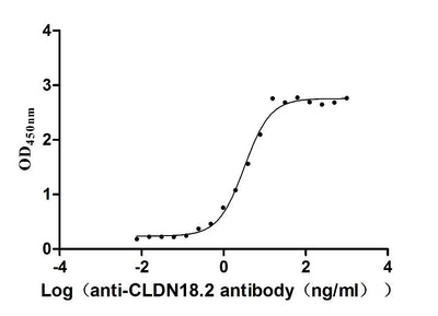 Activity Measured by its binding ability in a functional ELISA. Immobilized Macaca fascicularis CLDN18 at 5 μg/ml can bind Anti-CLDN18.2 recombinant Antibody , the EC 50 is 2.806-3.641 ng/ml. Biological Activity AssayRecombinant Cynomolgus Monkey Claudin (CLDN18) Protein (His), Active