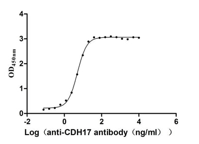 Activity Measured by its binding ability in a functional ELISA. Immobilized Macaca fascicularis CDH17 at 2μg/mL can bind Anti-CDH17 antibody, the EC 50 is 4.666-5.447 ng/mL Biological Activity AssayRecombinant Cynomolgus Monkey Cadherin 17 (CDH17) Protein (His), Active