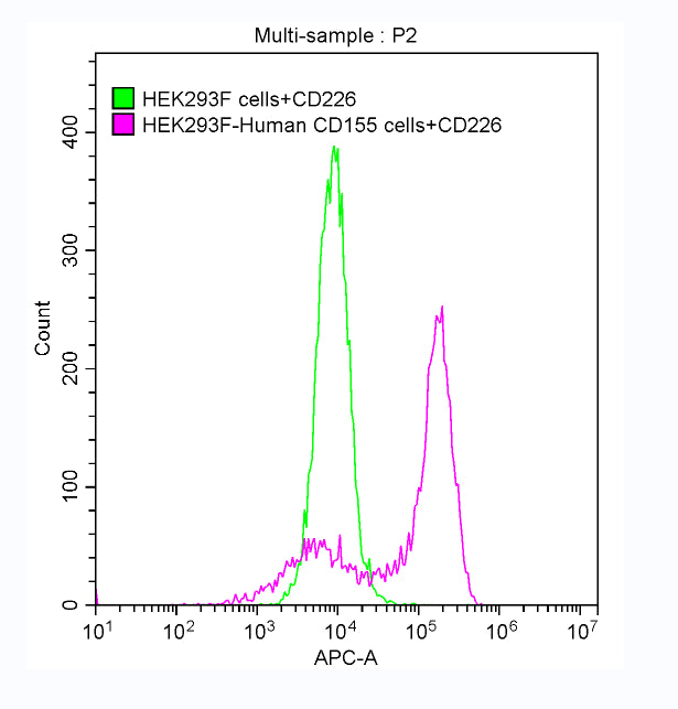 Activity FACS assay shows that Human CD226 can bind to 293F cell overexpressing human CD155. Biological Activity Assay