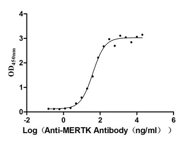 Activity Measured by its binding ability in a functional ELISA. Immobilized MERTK at 2 μg/ml can bind anti-MERTK antibody, the EC 50 is 32.95-48.25 ng/mL. Biological Activity Assay