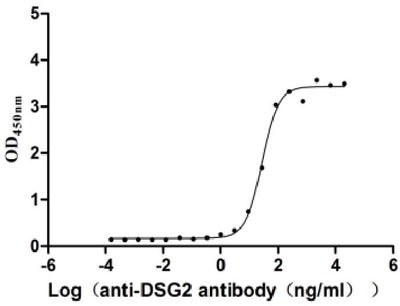 Activity Measured by its binding ability in a functional ELISA. Immobilized Human DSG2 at 2μg/mL can bind Anti-DSG2 recombinant antibody ， the EC 50 is 20.26-38.00 ng/mL. Biological Activity AssayRecombinant Human Desmoglein-2 (DSG2) Protein (His), Active