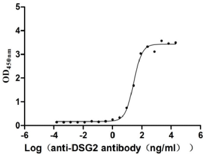 Activity Measured by its binding ability in a functional ELISA. Immobilized Human DSG2 at 2μg/mL can bind Anti-DSG2 recombinant antibody ， the EC 50 is 20.26-38.00 ng/mL. Biological Activity AssayRecombinant Human Desmoglein-2 (DSG2) Protein (His), Active