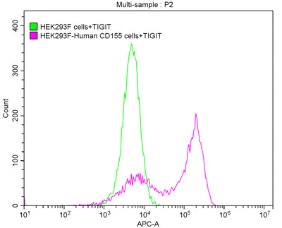 Activity FACS assay shows that Human TIGIT can bind to 293F cell overexpressing human CD155. Biological Activity Assay