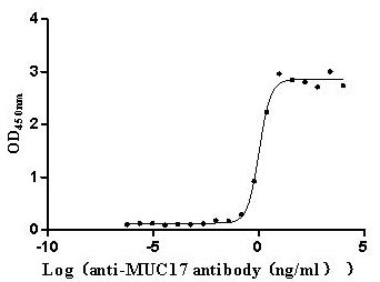 Activity Measured by its binding ability in a functional ELISA. Immobilized Human MUC17 at 2 μg/mL can bind Anti-MUC17 recombinant antibody , the EC 50 is 0.9057-1.259 ng/mL.Recombinant Human Mucin-17 (MUC17) Protein (His), Active