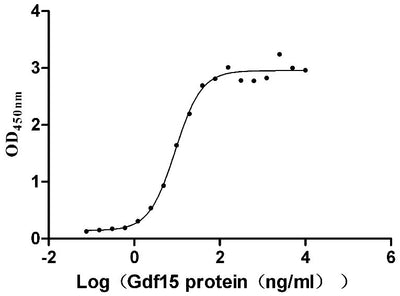 Activity Measured by its binding ability in a functional ELISA. Immobilized Mouse Gfral at 5 μg/ml can bind Mouse Gdf15 , the EC 50 is 7.926-10.52 ng/mL. Biological Activity AssayRecombinant Mouse Gdnf Family Receptor Alpha-Like (GFRAL) Protein (His&Myc), Active