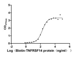 Activity Measured by its binding ability in a functional ELISA. Immobilized BTLA at 5 μg/ml can bind biotinylated human TNFRSF14 , the EC 50 is 137.8-233.4 ng/ml. Biological Activity AssayRecombinant Human B- And T-Lymphocyte Attenuator (BTLA) Protein (hFc-Myc), Active