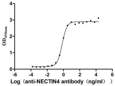 Activity Measured by its binding ability in a functional ELISA. Immobilized NECTIN4 at 2 μg/ml can bind anti-NECTIN4 antibody（enfortumab vedotin-like）, the EC 50 is 0.6029-0.7837 ng/mL. Biological Activity Assay
