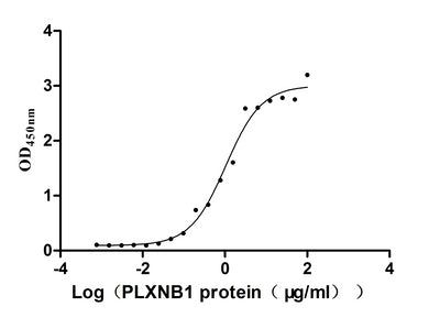 Activity Measured by its binding ability in a functional ELISA. Immobilized human SEMA4D at 5 μg/ml can bind human PLXNB1 , the EC 50 is 0.8179-1.357 μg/mL.Recombinant Human Semaphorin-4D (SEMA4D) Protein (hFc), Active