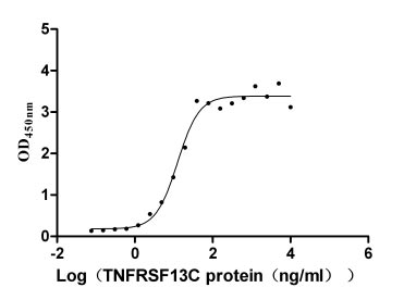 Activity Measured by its binding ability in a functional ELISA. Immobilized TNFSF13B at 2 μg/ml can bind TNFRSF13C, the EC 50 is 9.943-15.72 ng/ml. Biological Activity Assay