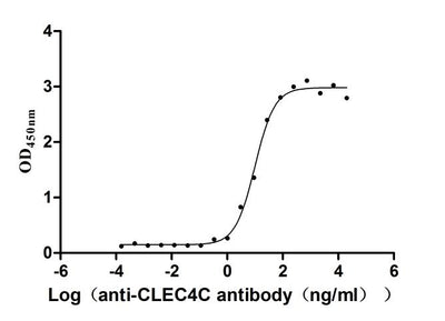 Activity Measured by its binding ability in a functional ELISA. Immobilized Human CLEC4C at 2μg/mL can bind Anti-CLEC4C recombinant antibody，the EC 50 is 7.658-12.99 ng/mL. Biological Activity AssayRecombinant Human C-Type Lectin Domain Family 4 Member C (CLEC4C) Protein (His-Myc), Active