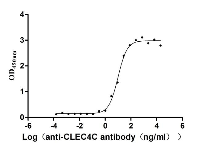Activity Measured by its binding ability in a functional ELISA. Immobilized Human CLEC4C at 2μg/mL can bind Anti-CLEC4C recombinant antibody，the EC 50 is 7.658-12.99 ng/mL. Biological Activity AssayRecombinant Human C-Type Lectin Domain Family 4 Member C (CLEC4C) Protein (His-Myc), Active
