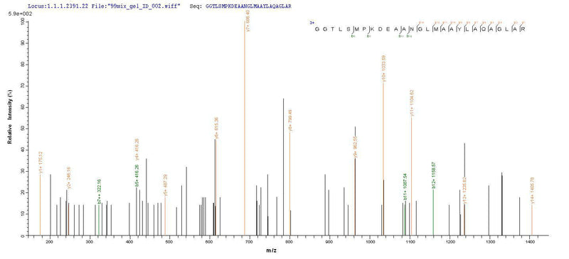 Based on the SEQUEST from database of Mammalian Cell host and target protein, the LC-MS/MS Analysis result of this product could indicate that this peptide derived from Mammalian Cell-expressed Homo sapiens (Human) COLEC11.Recombinant Human Collectin-11 (COLEC11) Protein (His&Myc)