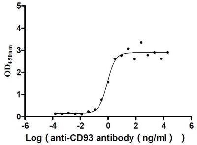Activity Measured by its binding ability in a functional ELISA. Immobilized Human CD93 at 2 μg/ml can bind Anti-CD93 recombinant antibody , the EC 50 is 0.6639-1.173 ng/mL. Biological Activity AssayRecombinant Human Complement Component C1Q Receptor (CD93) Protein (His), Active