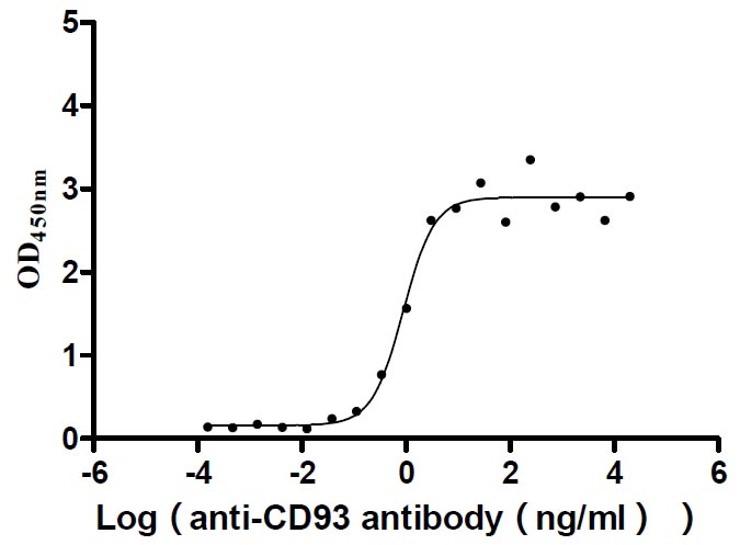 Activity Measured by its binding ability in a functional ELISA. Immobilized Human CD93 at 2 μg/ml can bind Anti-CD93 recombinant antibody , the EC 50 is 0.6639-1.173 ng/mL. Biological Activity AssayRecombinant Human Complement Component C1Q Receptor (CD93) Protein (His), Active