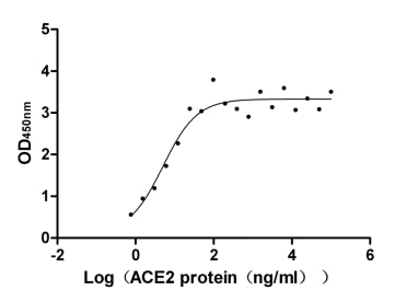 Measured by its binding ability in a functional ELISA. Immobilized SARS-CoV-2-S1-RBD at 5 μg/ml can bind human ACE2, the EC 50 is 2.785-9.139 ng/ml. Biological Activity AssayRecombinant Human Angiotensin-Converting Enzyme 2 (ACE2) Protein (hFc), Active