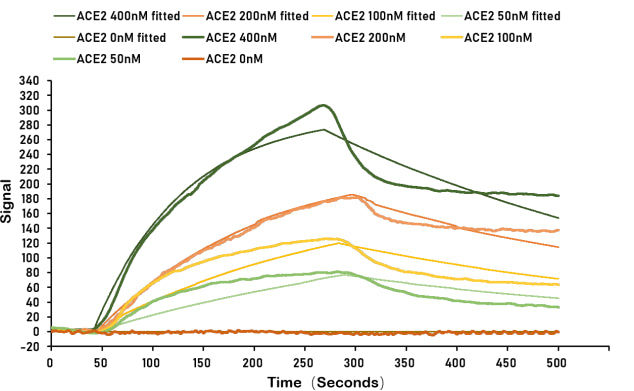 SARS-CoV-2 Spike protein RBD his/sumostar tag captured on COOH chip can bind Human ACE2 protein Fc tag with an affinity constant of 100 nM as detected by LSPR Assay. Biological Activity AssayRecombinant Human Angiotensin-Converting Enzyme 2 (ACE2) Protein (hFc), Active