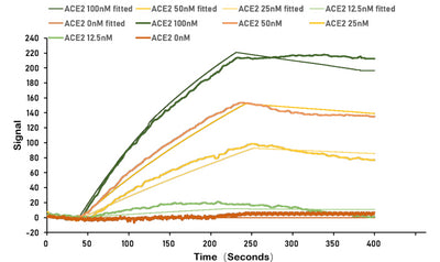 SARS-CoV-2 Spike protein RBD his/myc tag captured on COOH chip can bind Human ACE2 protein Fc tag with an affinity constant of 13.8 nM as detected by LSPR Assay. Biological Activity AssayRecombinant Human Angiotensin-Converting Enzyme 2 (ACE2) Protein (hFc), Active