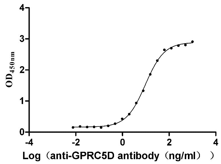 Activity Measured by its binding ability in a functional ELISA. Immobilized Human GPRC5D at 5 μg/mL can bind Anti-GPRC5D recombinant antibody , the EC 50 is 8.847-10.38 ng/mL. Biological Activity AssayRecombinant Human G-Protein Coupled Receptor Family C Group 5 Member D (GPRC5D) Protein (His), Active