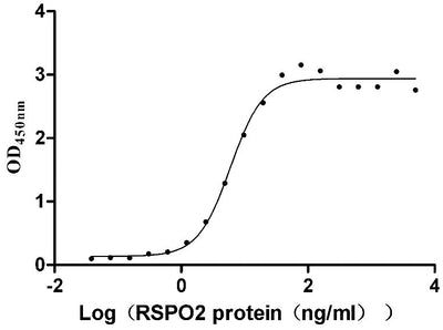 Activity Measured by its binding ability in a functional ELISA. Immobilized Human ZNRF3 at 5 μg/ml can bind Human RSPO2 ), the EC 50 is 5.091-6.991 ng/mL.Recombinant Human E3 Ubiquitin-Protein Ligase Znrf3 (ZNRF3) Protein (His), Active
