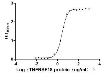 Activity Measured by its binding ability in a functional ELISA. Immobilized TNFRSF18 at 2 μg/ml can bind TNFSF18 , the EC 50 is 2.565 to 2.940 ng/ml. Biological Activity Assay