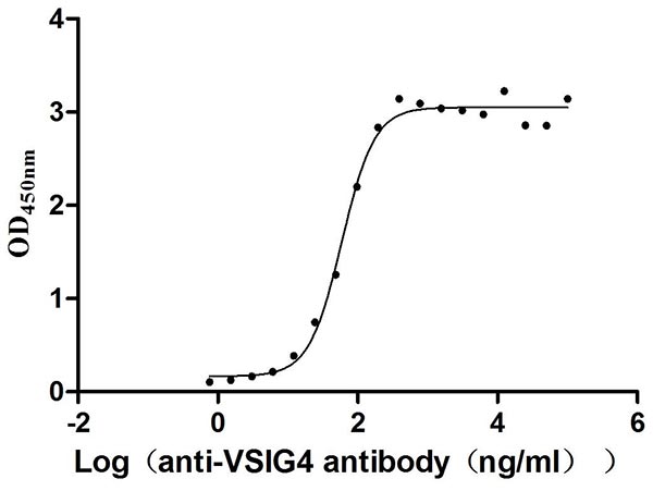 Activity Measured by its binding ability in a functional ELISA. Immobilized Human VSIG4 at 2 μg/ml can bind Anti-VSIG4 recombinant antibody , the EC 50 is 51.14-68.73 ng/mL.Recombinant Human V-Set And Immunoglobulin Domain-Containing Protein 4 (VSIG4) Protein (His), Active