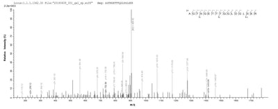 Based on the SEQUEST from database of E.coli host and target protein, the LC-MS/MS Analysis result of this product could indicate that this peptide derived from E.coli-expressed Homo sapiens (Human) ALDOA.