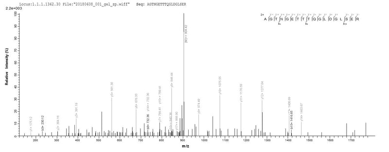 Based on the SEQUEST from database of E.coli host and target protein, the LC-MS/MS Analysis result of this product could indicate that this peptide derived from E.coli-expressed Homo sapiens (Human) ALDOA.
