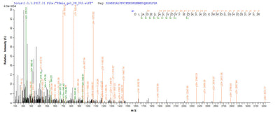 Based on the SEQUEST from database of E.coli host and target protein, the LC-MS/MS Analysis result of this product could indicate that this peptide derived from E.coli-expressed Homo sapiens (Human) PIG19.Recombinant Human L-Lactate Dehydrogenase A Chain (LDHA) Protein (His)