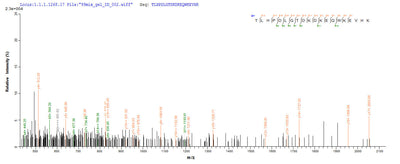Based on the SEQUEST from database of E.coli host and target protein, the LC-MS/MS Analysis result of this product could indicate that this peptide derived from E.coli-expressed Homo sapiens (Human) PIG19.Recombinant Human L-Lactate Dehydrogenase A Chain (LDHA) Protein (His)