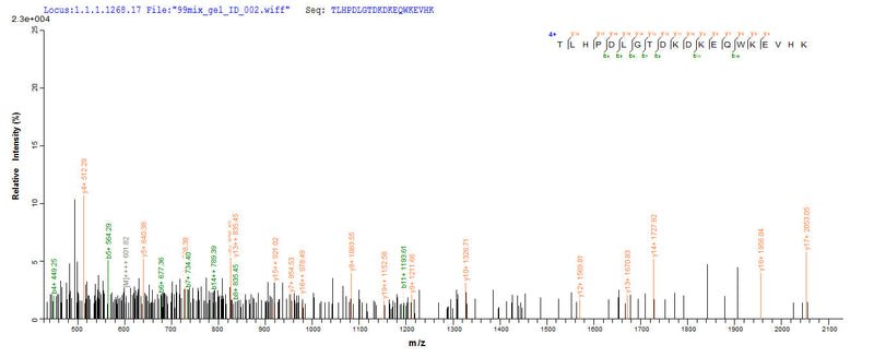 Based on the SEQUEST from database of E.coli host and target protein, the LC-MS/MS Analysis result of this product could indicate that this peptide derived from E.coli-expressed Homo sapiens (Human) PIG19.Recombinant Human L-Lactate Dehydrogenase A Chain (LDHA) Protein (His)