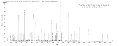 Based on the SEQUEST from database of E.coli host and target protein, the LC-MS/MS Analysis result of this product could indicate that this peptide derived from E.coli-expressed Homo sapiens (Human) GDI2.Recombinant Human Rab Gdp Dissociation Inhibitor Beta (GDI2) Protein (GST)