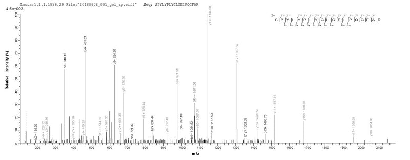 Based on the SEQUEST from database of E.coli host and target protein, the LC-MS/MS Analysis result of this product could indicate that this peptide derived from E.coli-expressed Homo sapiens (Human) GDI2.Recombinant Human Rab Gdp Dissociation Inhibitor Beta (GDI2) Protein (GST)