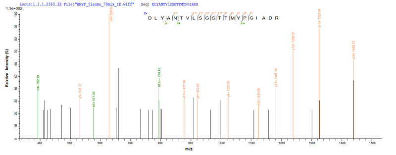 Based on the SEQUEST from database of E.coli host and target protein, the LC-MS/MS Analysis result of this product could indicate that this peptide derived from E.coli-expressed Homo sapiens (Human) ACTB.Recombinant Human Actin, Cytoplasmic 1 (ACTB) Protein (His)