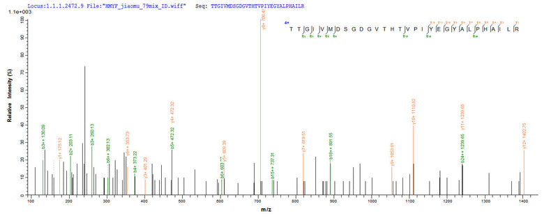Based on the SEQUEST from database of E.coli host and target protein, the LC-MS/MS Analysis result of this product could indicate that this peptide derived from E.coli-expressed Homo sapiens (Human) ACTB.Recombinant Human Actin, Cytoplasmic 1 (ACTB) Protein (His)