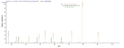 Based on the SEQUEST from database of E.coli host and target protein, the LC-MS/MS Analysis result of this product could indicate that this peptide derived from E.coli-expressed Homo sapiens (Human) YWHAH.Recombinant Human 14-3-3 Protein Eta (YWHAH) Protein (GST)