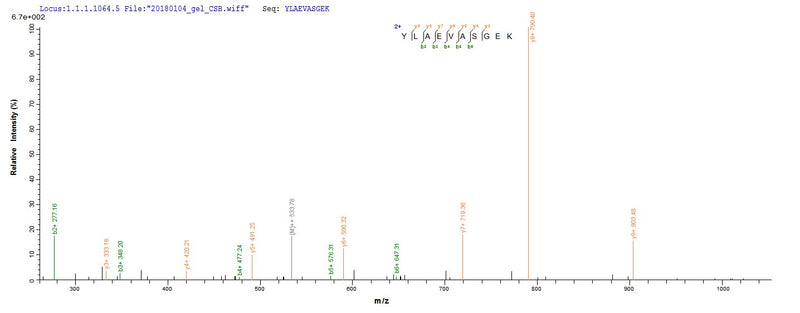 Based on the SEQUEST from database of E.coli host and target protein, the LC-MS/MS Analysis result of this product could indicate that this peptide derived from E.coli-expressed Homo sapiens (Human) YWHAH.Recombinant Human 14-3-3 Protein Eta (YWHAH) Protein (GST)