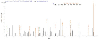 Based on the SEQUEST from database of E.coli host and target protein, the LC-MS/MS Analysis result of this product could indicate that this peptide derived from E.coli-expressed Homo sapiens (Human) YWHAH.Recombinant Human 14-3-3 Protein Eta (YWHAH) Protein (GST)