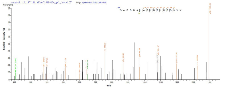 Based on the SEQUEST from database of E.coli host and target protein, the LC-MS/MS Analysis result of this product could indicate that this peptide derived from E.coli-expressed Homo sapiens (Human) YWHAH.Recombinant Human 14-3-3 Protein Eta (YWHAH) Protein (GST)