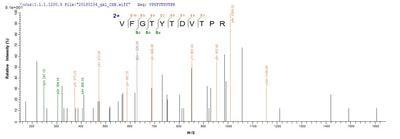 Based on the SEQUEST from database of E.coli host and target protein, the LC-MS/MS Analysis result of this product could indicate that this peptide derived from E.coli-expressed Homo sapiens (Human) STARD7.Recombinant Human Star-Related Lipid Transfer Protein 7, Mitochondrial (STARD7) Protein (GST)