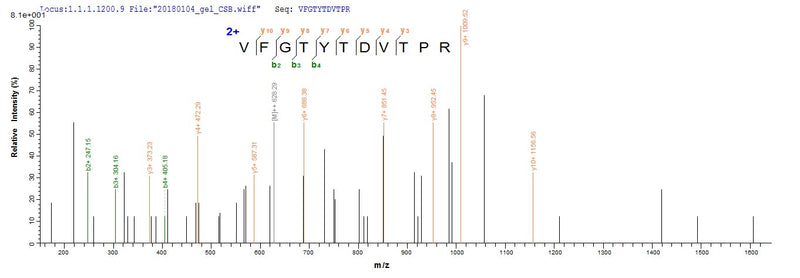 Based on the SEQUEST from database of E.coli host and target protein, the LC-MS/MS Analysis result of this product could indicate that this peptide derived from E.coli-expressed Homo sapiens (Human) STARD7.Recombinant Human Star-Related Lipid Transfer Protein 7, Mitochondrial (STARD7) Protein (GST)